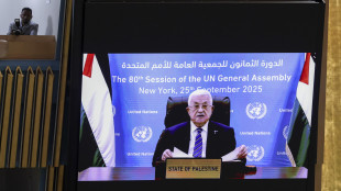 Anp, 'impegnati con gli Usa, riforme cruciali in 2 anni'