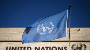 Brevets: accord &agrave; l'ONU sur un trait&eacute; pour lutter contre la biopiraterie