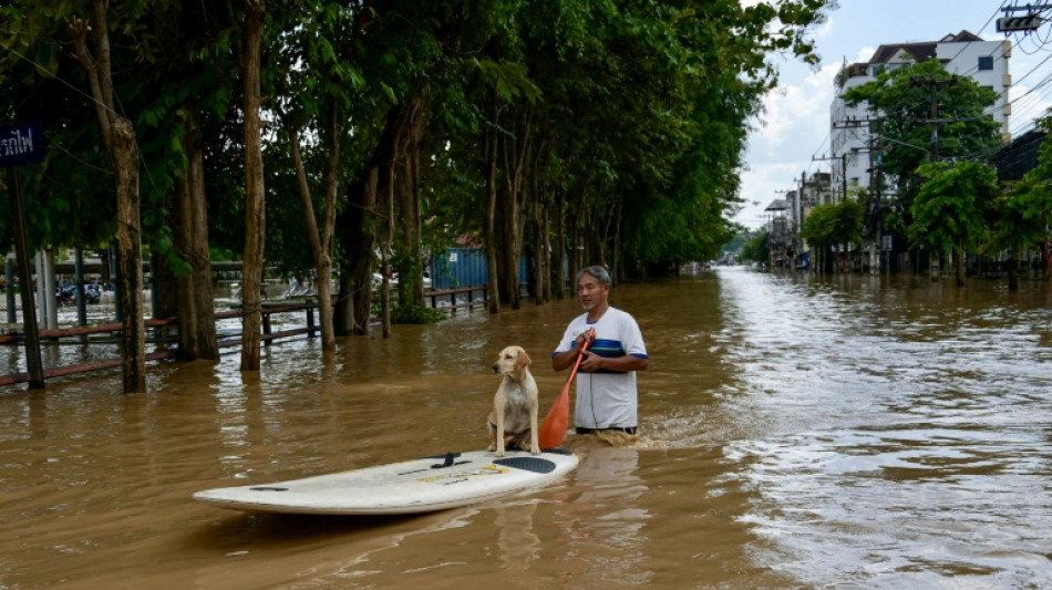 Hurrikans und Hochwasser: Unwetter sorgen 2024 f&uuml;r 320 Milliarden Dollar Schaden