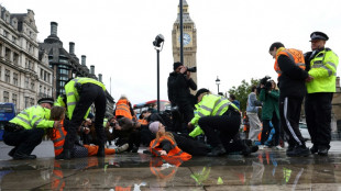 Londres: 62 militants &eacute;cologistes arr&ecirc;t&eacute;s lors d'une marche contre les hydrocarbures