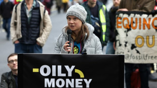Greta Thunberg inculp&eacute;e pour une manifestation &agrave; Londres
