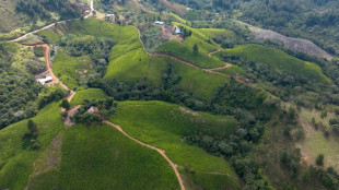 Colombia reduce los narcocultivos en 2025, aunque aumentan durante el mandato de Petro
