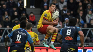 Top 14: Castres termine l&rsquo;ann&eacute;e sur un couac face &agrave; Perpignan