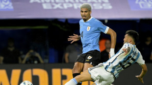 Mondial-2026/Qualifs: premi&egrave;re d&eacute;faite de l'Argentine depuis son titre mondial