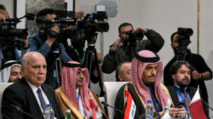 Arabische Au&szlig;enminister fordern friedlichen &Uuml;bergang in Syrien