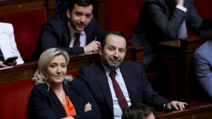 Assembl&eacute;e : premier revers pour le RN qui retire son texte sur l'endom&eacute;triose