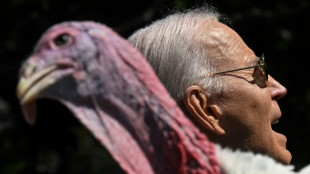 "Mant&eacute;n la calma", dice Biden en &uacute;ltimo indulto del pavo