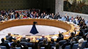 UN-Sicherheitsrat fordert in Resolution umfassende Hilfen f&uuml;r Gazastreifen 