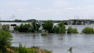 Ukraine : des milliers d'&eacute;vacu&eacute;s apr&egrave;s la destruction partielle d'un barrage
