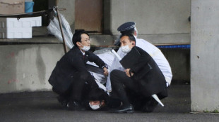 Japon: le Premier ministre reprend sa campagne apr&egrave;s une explosion