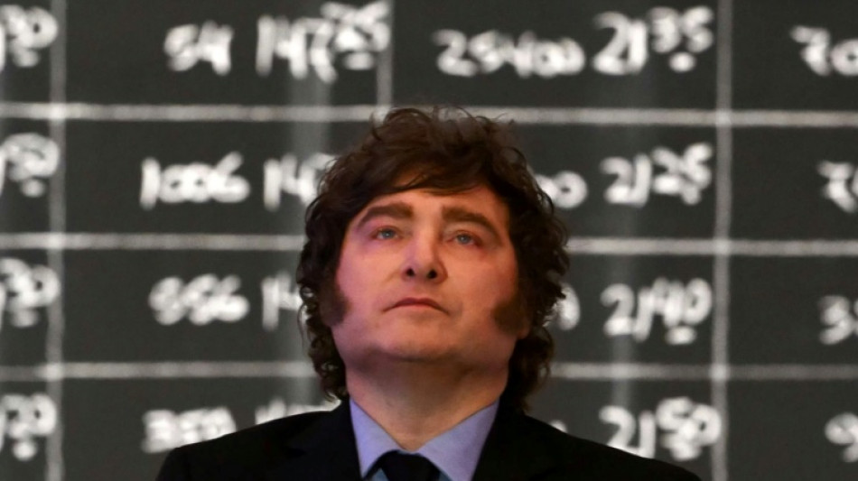 Milei oferece &agrave; Europa uma Argentina com 'energia abundante' e 'longe' de conflitos
