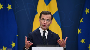 Stockholm: Entsendung westlicher Soldaten in die Ukraine "im Moment &uuml;berhaupt kein Thema"