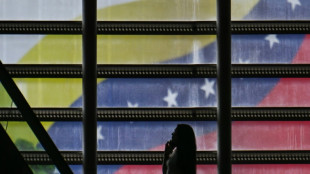 Venezuela y Colombia encabezan las solicitudes de asilo en países desarrollados en 2024, según la OCDE