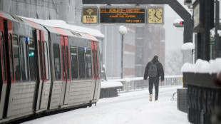 Zwei Tote in Bahnhof in Hamburg: Mann zerrt junge Frau mit sich vor U-Bahn