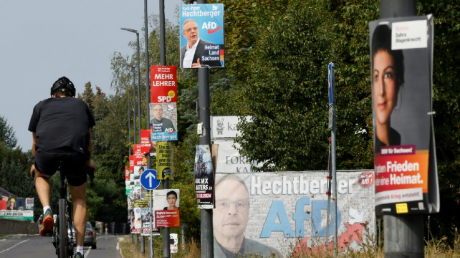 Bericht: Gr&uuml;ne &uuml;berfl&uuml;geln andere Parteien bei Budget f&uuml;r Bundestagswahlkampf