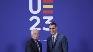 Espa&ntilde;a alberga un gran ejercicio militar de la Uni&oacute;n Europea