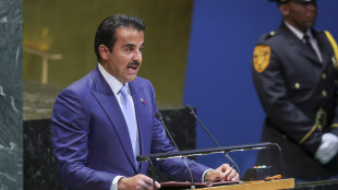 Premier Qatar, Hamas ha promesso che studierà il piano