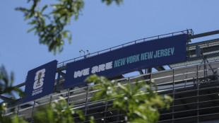 Lanzan en Nueva York una aplicaci&oacute;n sobre seguridad durante el Mundial