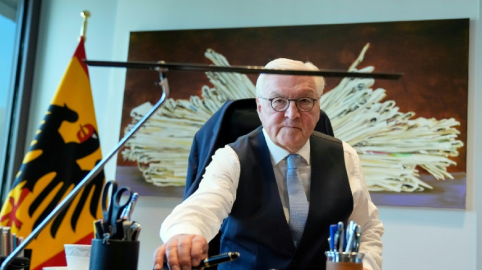 "Warum t&ouml;tet ihn keiner": Geldstrafe wegen Verunglimpfung von Bundespr&auml;sident