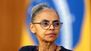 Desmatamento na Amaz&ocirc;nia Legal segue em decl&iacute;nio