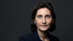 Am&eacute;lie Oud&eacute;a-Castera mise en examen pour diffamation envers No&euml;l Le Gra&euml;t