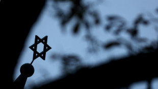 Zweite Festnahme in Baden-W&uuml;rttemberg: M&auml;nner sollen Angriff auf Synagoge geplant haben