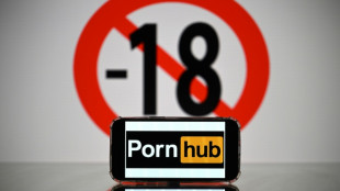 Pornhub owner pressures France over age verification law