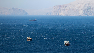 Iran, avviati colloqui con paesi Ue per transito Stretto di Hormuz
