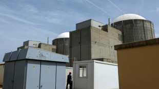 Spain extends largest nuclear plant in policy U-turn