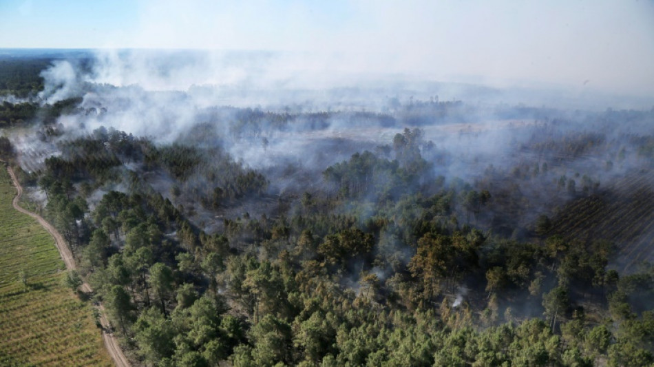Feux de for&ecirc;t en Gironde: 3.700 hectares br&ucirc;l&eacute;s depuis mardi