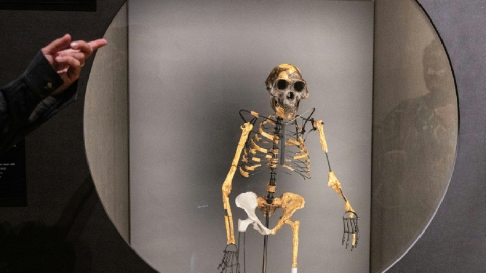 P&eacute; fossilizado encontrado na Eti&oacute;pia lan&ccedil;a luz sobre contempor&acirc;neo de Lucy