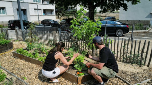 A Lyon, retour &agrave; la terre au milieu du b&eacute;ton 