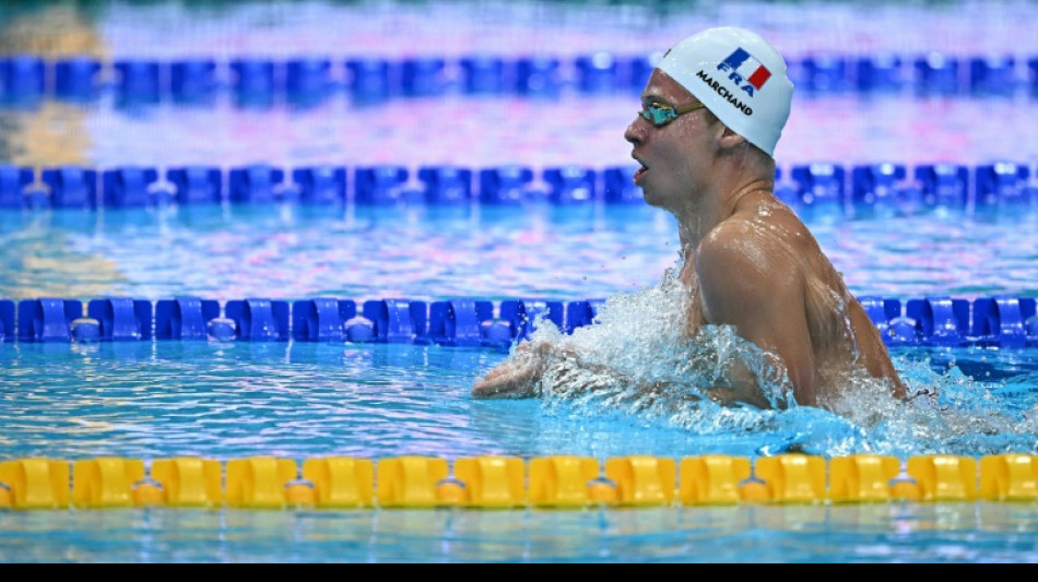 Natation: Marchand am&eacute;liore le record de France du 200 m brasse 