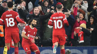 Angleterre: Liverpool bat Newcastle et creuse l'&eacute;cart en t&ecirc;te