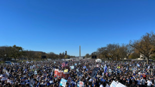 A Washington, vaste rassemblement de soutien &agrave; Isra&euml;l et pour "ramener les otages"