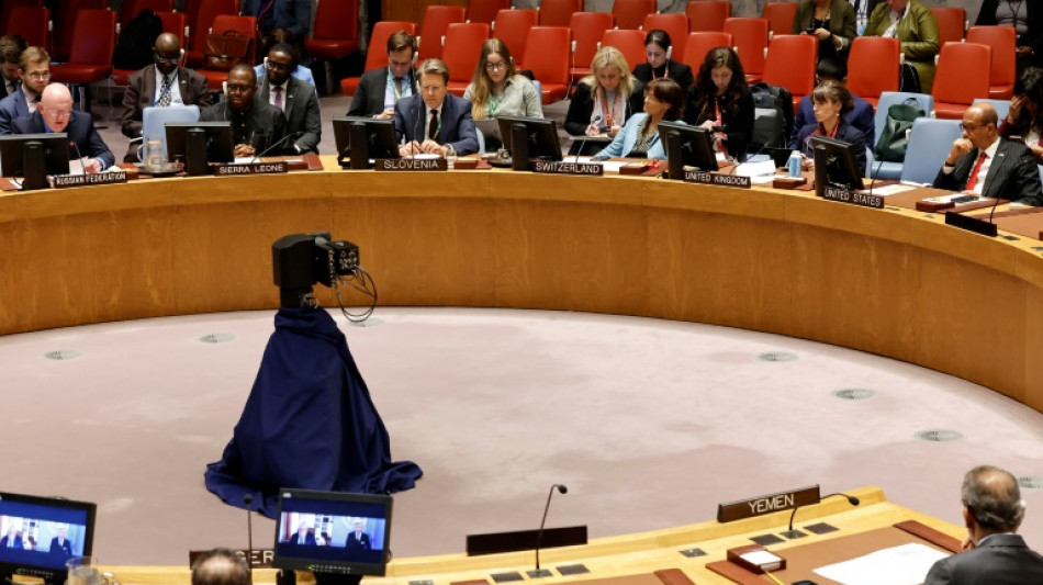 USA beantragen Abstimmung im UN-Sicherheitsrat &uuml;ber Waffenruhe im Gazastreifen