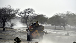 Niger: au moins 17 soldats tu&eacute;s dans une attaque pr&egrave;s du Mali