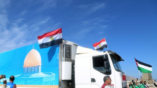 Un premier convoi d'aide entre &agrave; Gaza, appels &agrave; "un cessez-le-feu" lors d'un sommet "pour la paix" 