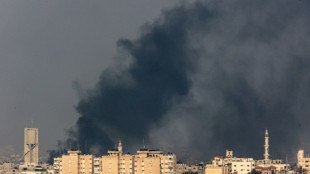 Jefe de Ham&aacute;s negociar&aacute; en Egipto nuevo alto el fuego en Gaza