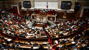 Pouvoir d'achat: l'Assembl&eacute;e contrainte de jouer les prolongations 