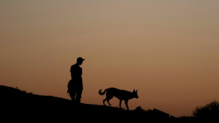 C&atilde;es acompanham humanos h&aacute; 16 mil anos