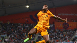 Dumfries, una explosi&oacute;n en el momento justo que preocupa a Argentina