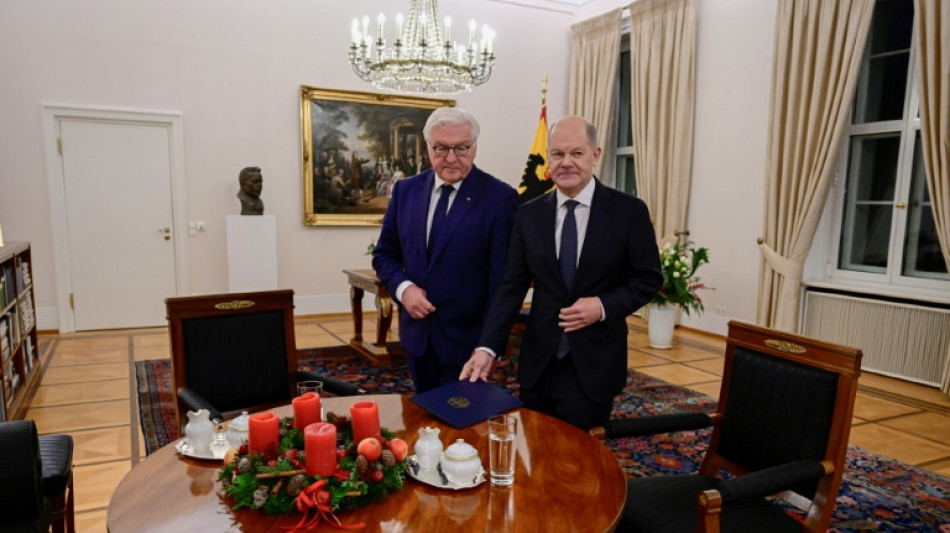 Steinmeier entscheidet am 27. Dezember &uuml;ber Bundestags-Aufl&ouml;sung