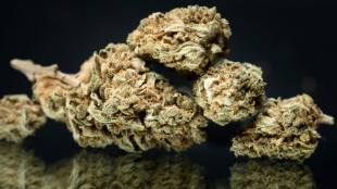 Cannabis: la vente de CBD sous toutes ses formes d&eacute;finitivement autoris&eacute;e en France