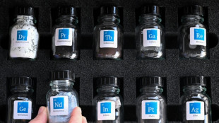 EU says must 'step up' against China rare earths 'racket'