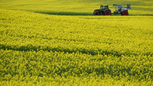FDP und &Ouml;zdemir-Ministerium weisen sich gegenseitig Schuld f&uuml;r Agrark&uuml;rzung zu