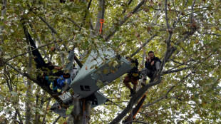Autoroute Toulouse-Castres: un opposant d&eacute;log&eacute; de son arbre face au minist&egrave;re de la Transition &eacute;cologique