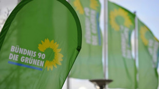 Gr&uuml;ne positionieren sich bei Parteitag in Wiesbaden f&uuml;r den Wahlkampf