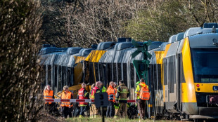 Une collision entre deux trains fait plusieurs bless&eacute;s au Danemark