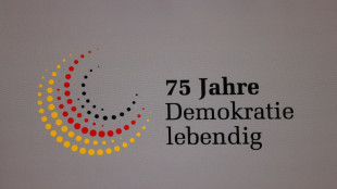 Umfrage: Anh&auml;nger von BSW und AfD hadern besonders mit Demokratie in Deutschland